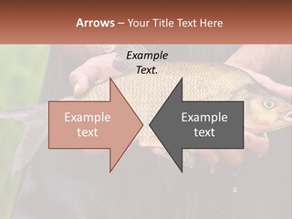 Freshwater Aquaculture Cloudy PowerPoint Template