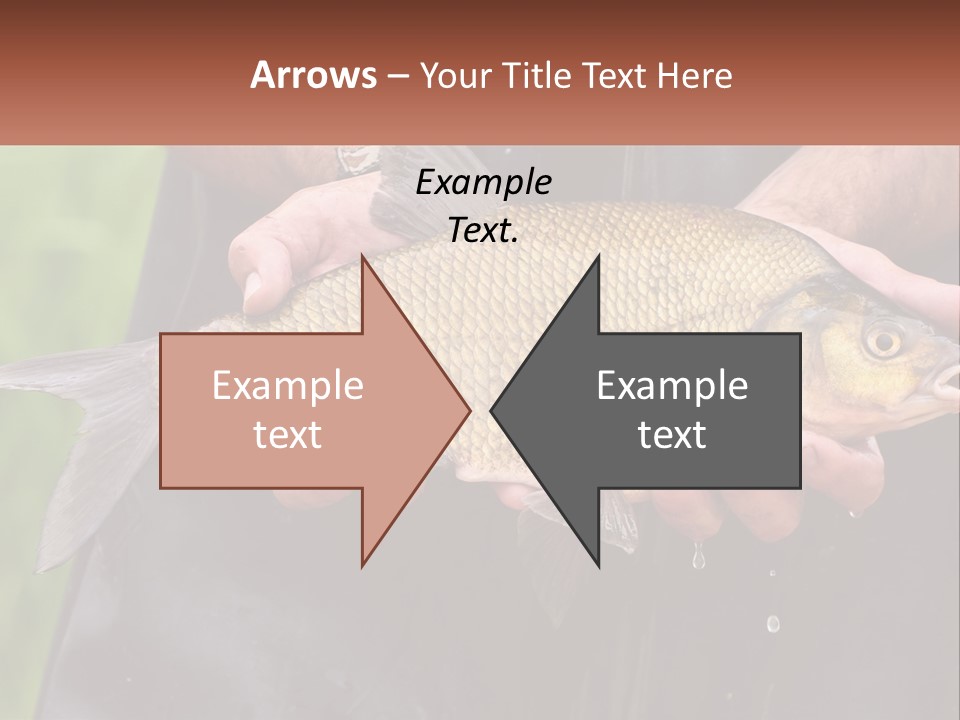 Freshwater Aquaculture Cloudy PowerPoint Template
