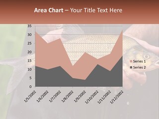 Freshwater Aquaculture Cloudy PowerPoint Template