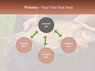 Freshwater Aquaculture Cloudy PowerPoint Template