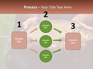 Freshwater Aquaculture Cloudy PowerPoint Template