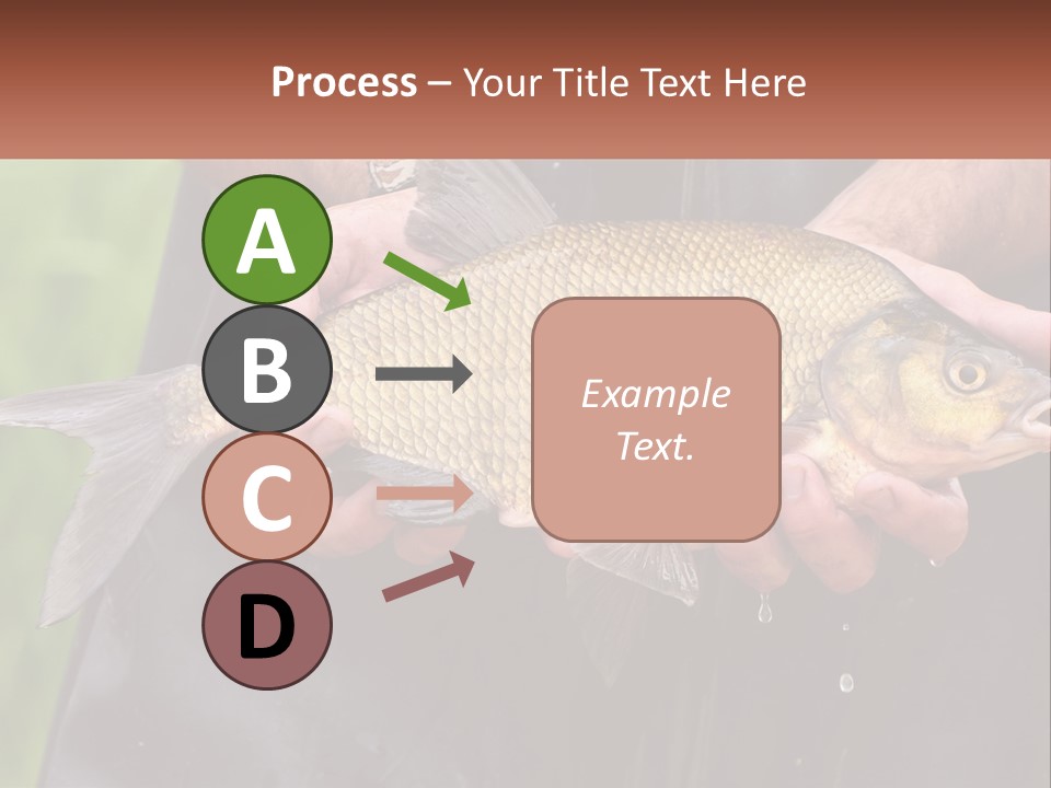 Freshwater Aquaculture Cloudy PowerPoint Template