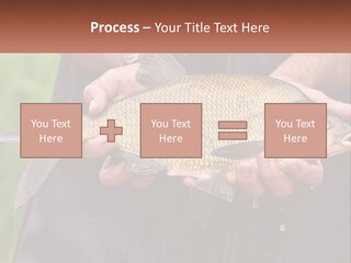 Freshwater Aquaculture Cloudy PowerPoint Template