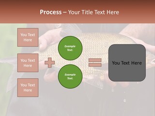 Freshwater Aquaculture Cloudy PowerPoint Template