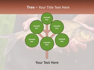 Freshwater Aquaculture Cloudy PowerPoint Template