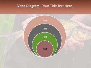 Freshwater Aquaculture Cloudy PowerPoint Template