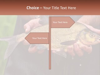 Freshwater Aquaculture Cloudy PowerPoint Template