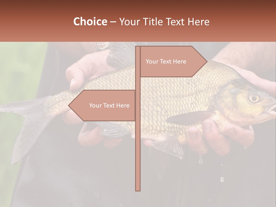 Freshwater Aquaculture Cloudy PowerPoint Template