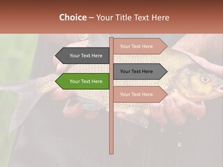 Freshwater Aquaculture Cloudy PowerPoint Template