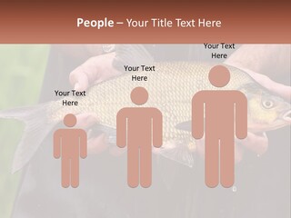 Freshwater Aquaculture Cloudy PowerPoint Template