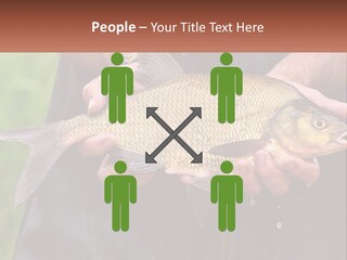 Freshwater Aquaculture Cloudy PowerPoint Template