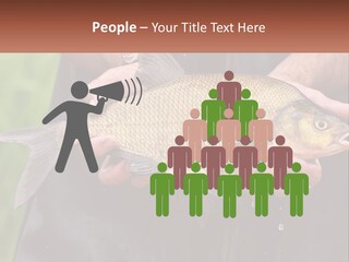 Freshwater Aquaculture Cloudy PowerPoint Template