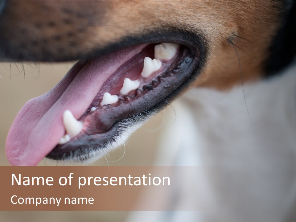 Cute Bark Puppy PowerPoint Template