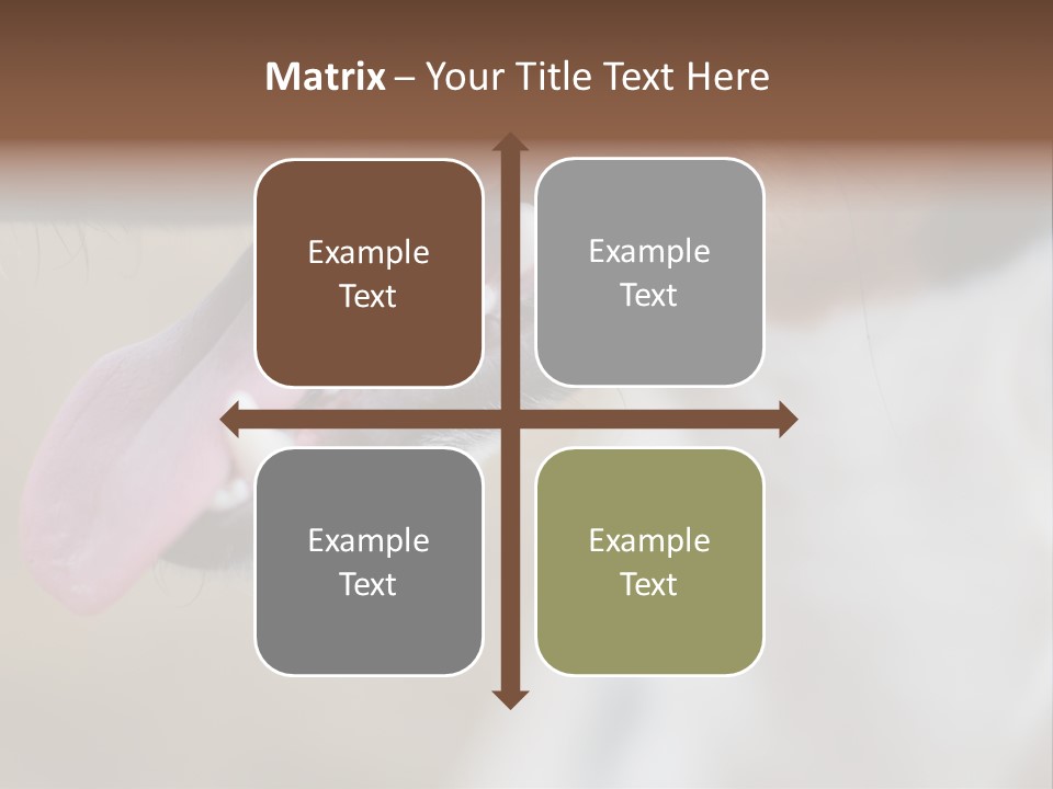 Cute Bark Puppy PowerPoint Template
