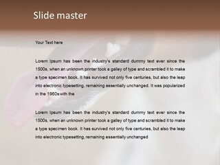 Cute Bark Puppy PowerPoint Template