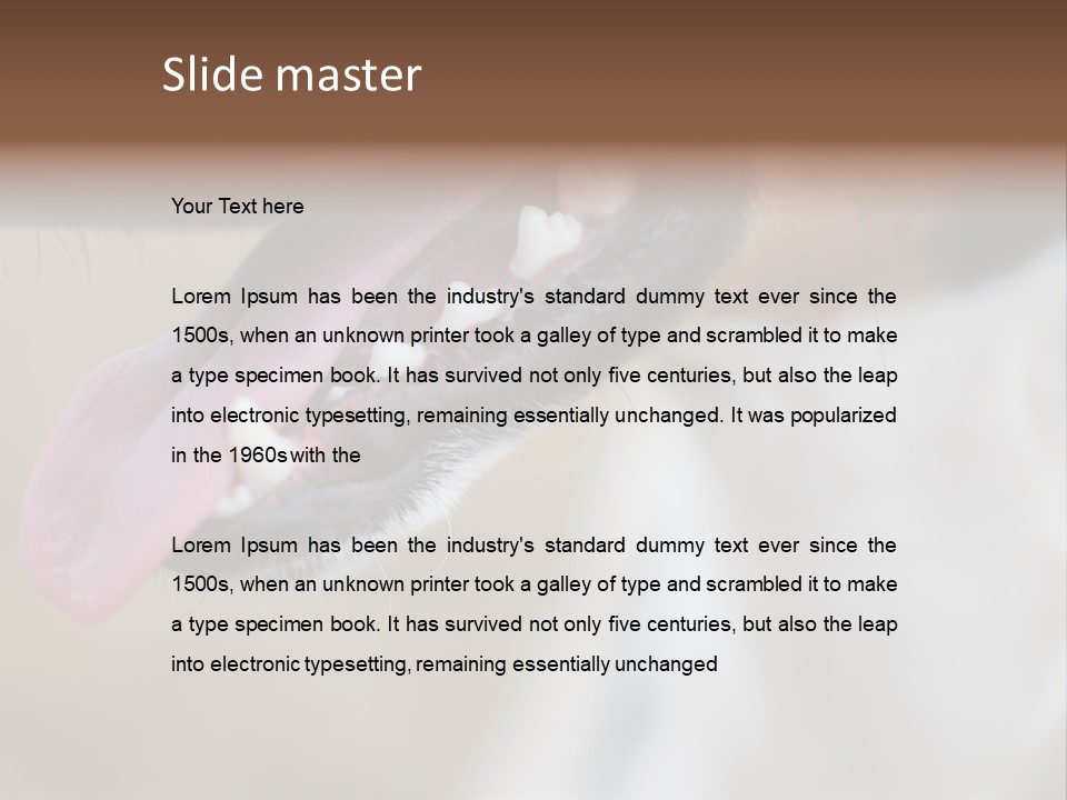 Cute Bark Puppy PowerPoint Template