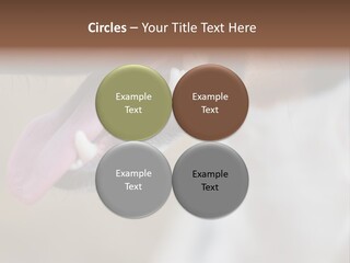 Cute Bark Puppy PowerPoint Template