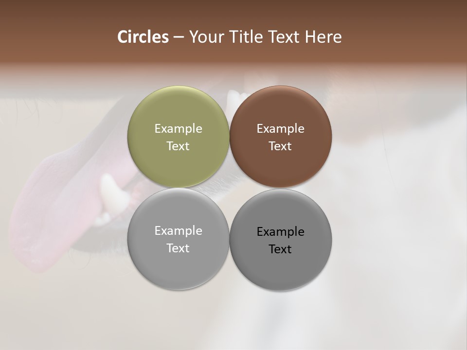 Cute Bark Puppy PowerPoint Template