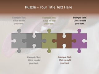 Cute Bark Puppy PowerPoint Template