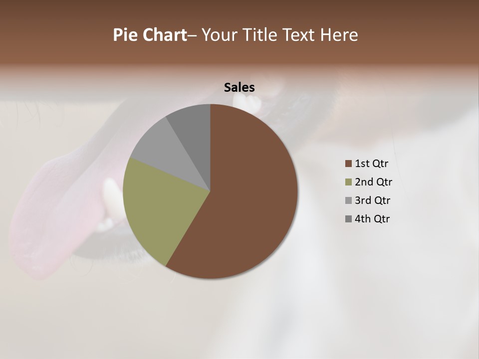 Cute Bark Puppy PowerPoint Template