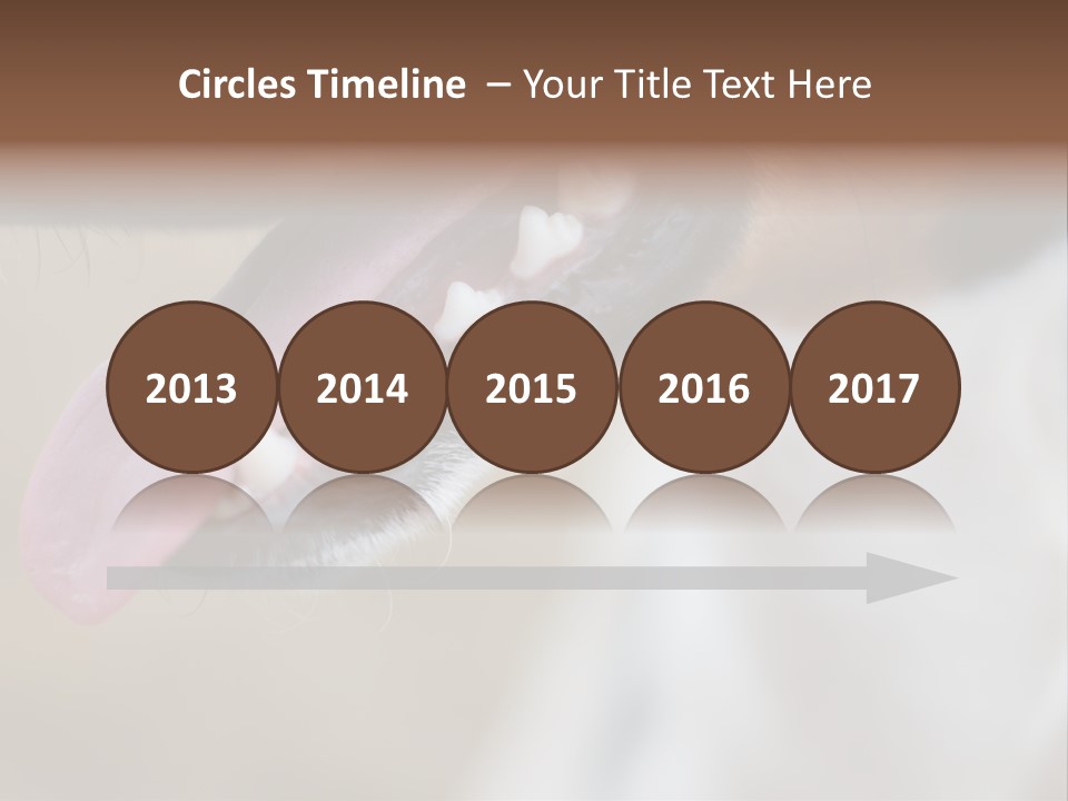 Cute Bark Puppy PowerPoint Template