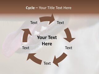 Cute Bark Puppy PowerPoint Template