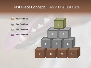 Cute Bark Puppy PowerPoint Template