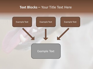Cute Bark Puppy PowerPoint Template