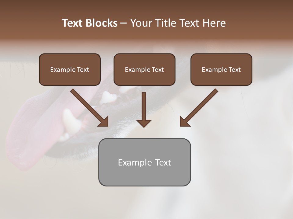 Cute Bark Puppy PowerPoint Template