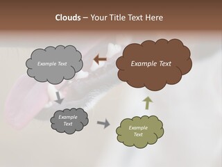 Cute Bark Puppy PowerPoint Template