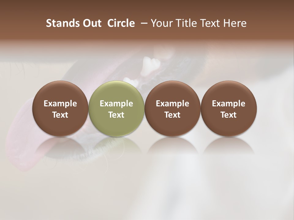 Cute Bark Puppy PowerPoint Template