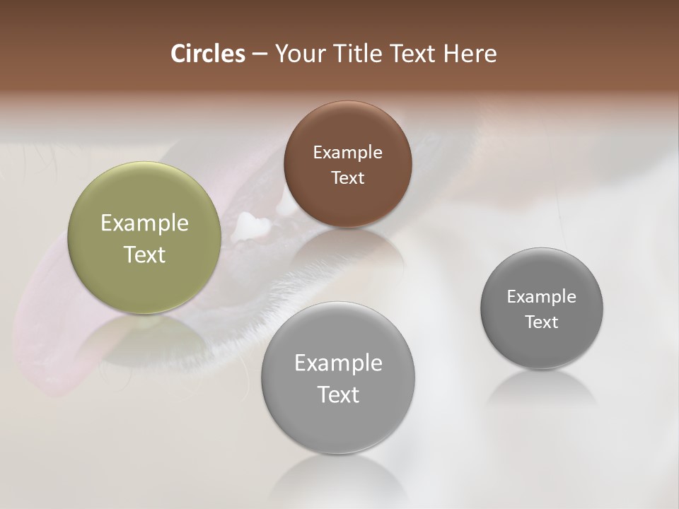 Cute Bark Puppy PowerPoint Template