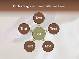Cute Bark Puppy PowerPoint Template