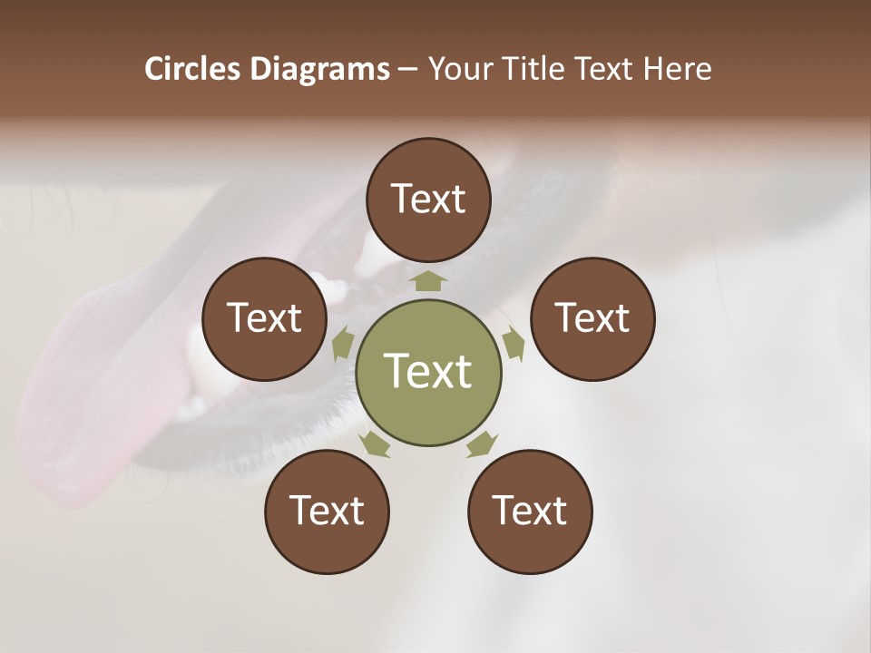 Cute Bark Puppy PowerPoint Template