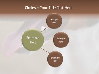 Cute Bark Puppy PowerPoint Template