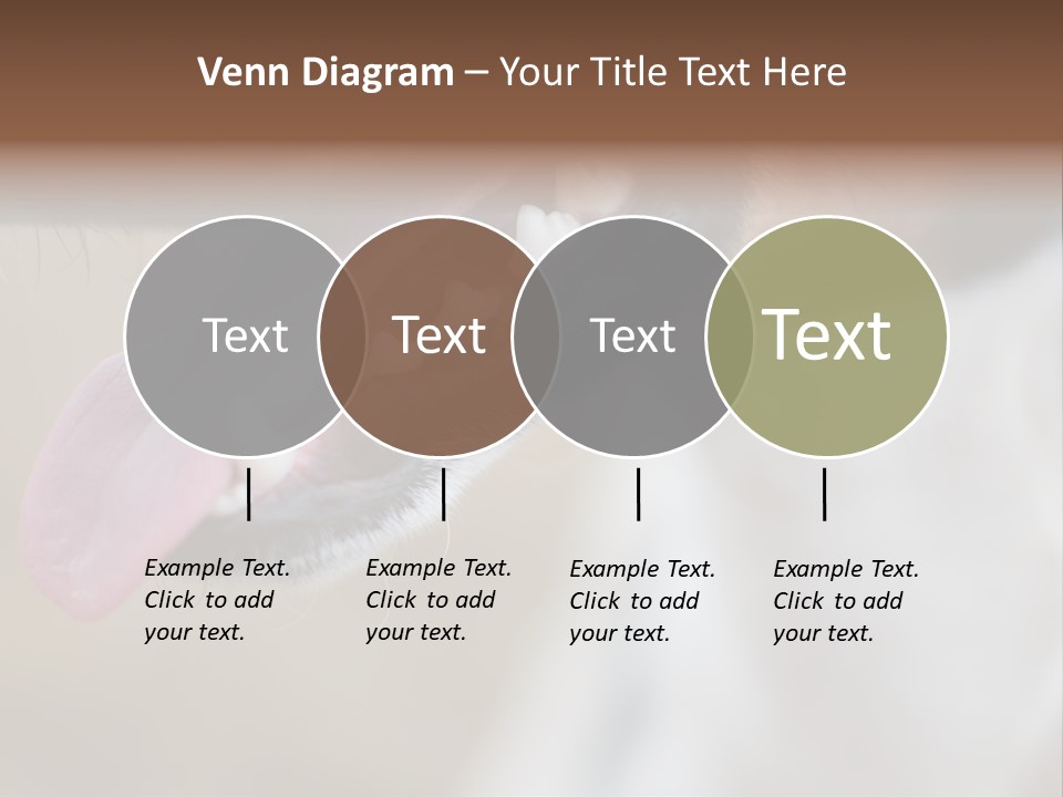 Cute Bark Puppy PowerPoint Template