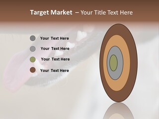 Cute Bark Puppy PowerPoint Template