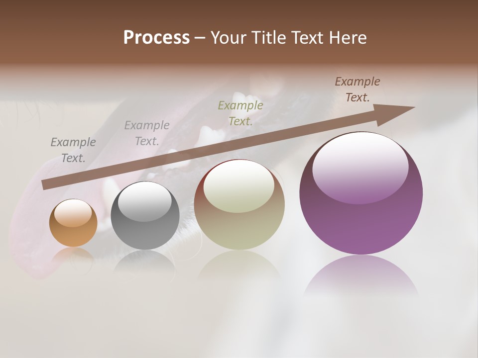 Cute Bark Puppy PowerPoint Template