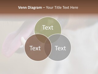 Cute Bark Puppy PowerPoint Template