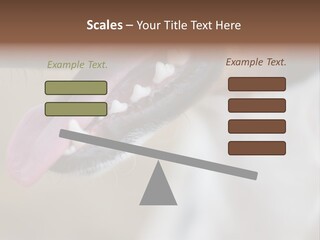 Cute Bark Puppy PowerPoint Template