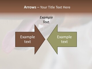 Cute Bark Puppy PowerPoint Template