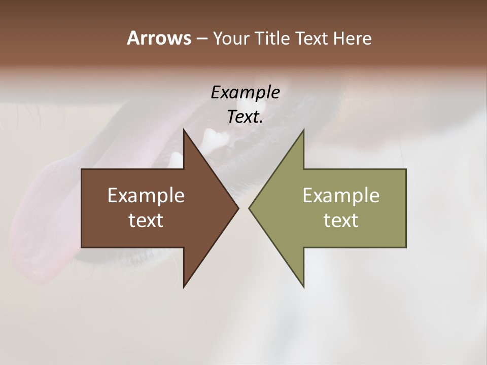 Cute Bark Puppy PowerPoint Template