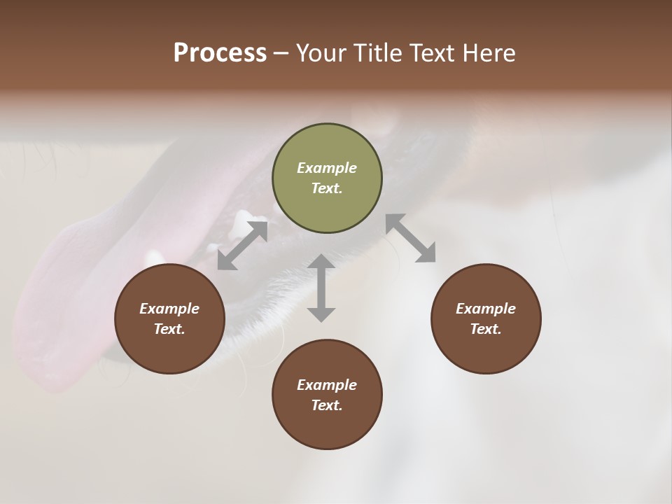 Cute Bark Puppy PowerPoint Template