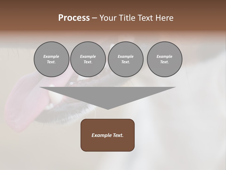 Cute Bark Puppy PowerPoint Template