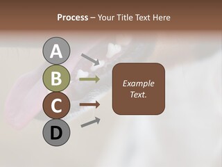 Cute Bark Puppy PowerPoint Template