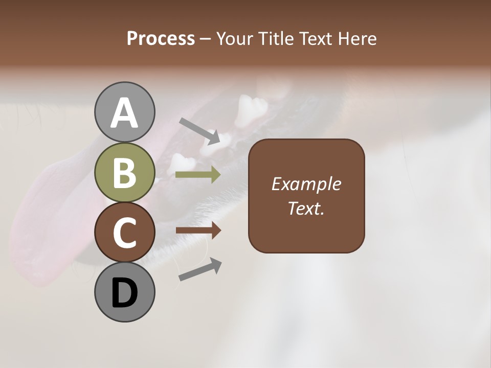 Cute Bark Puppy PowerPoint Template
