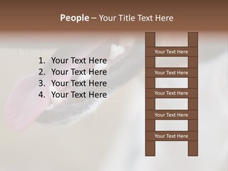 Cute Bark Puppy PowerPoint Template