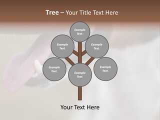 Cute Bark Puppy PowerPoint Template
