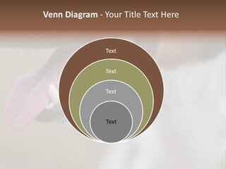 Cute Bark Puppy PowerPoint Template