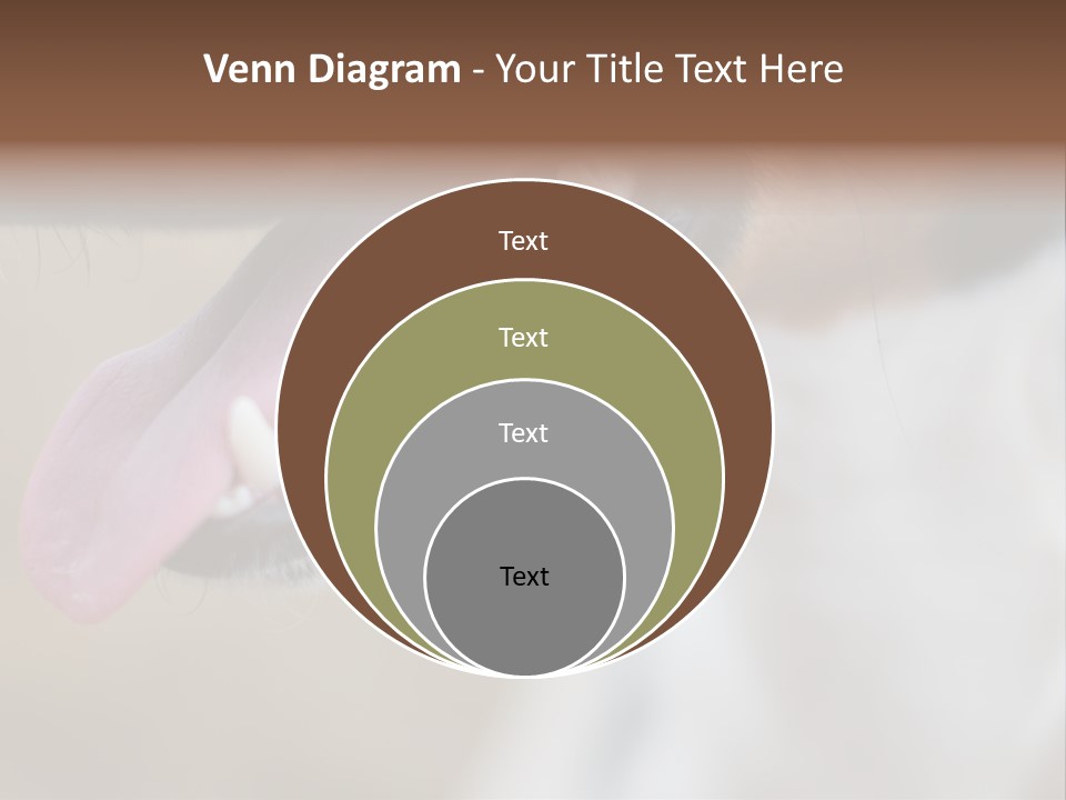 Cute Bark Puppy PowerPoint Template